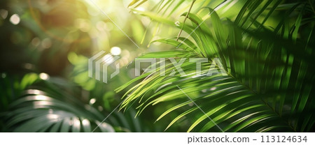 Close up of a Plant With Leaves 113124634
