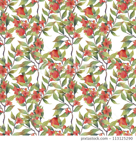 Watercolor pomegranate seamless pattern on white background 113125290