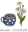 Chamomile and cup of cacao, coffee or tea in white background. Sketch watercolor art 113125295