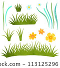 Set of watercolor spring grass and flowers. Clipart on white background 113125296