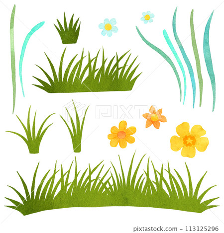 Set of watercolor spring grass and flowers. Clipart on white background 113125296