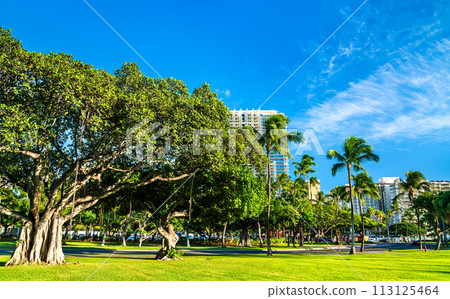 Banyan trees at Fort DeRussy Beach Park in Honolulu - Oahu Island, Hawaii 113125464