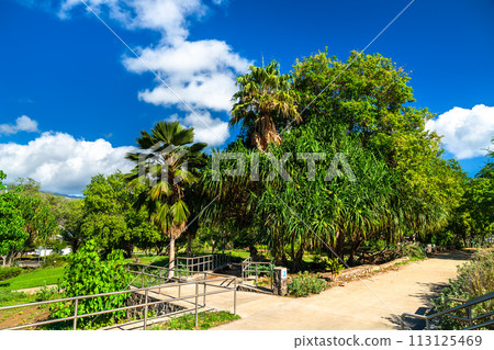 Leahi Millennium Peace Garden at the foot of the Diamond Head Volcano in Honolulu - Oahu island, Hawaii, United States 113125469