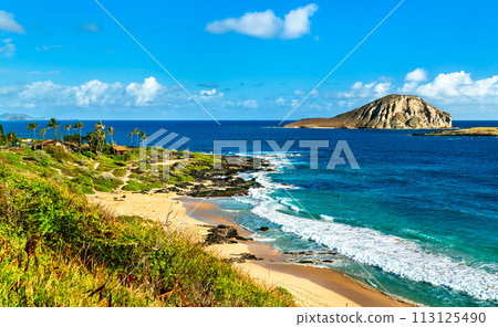 Makapuu Beach and Manana Island in Oahu - Hawaii, United States 113125490