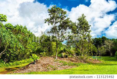 Ho'omaluhia Botanical Garden on Oahu island, Hawaii 113125492