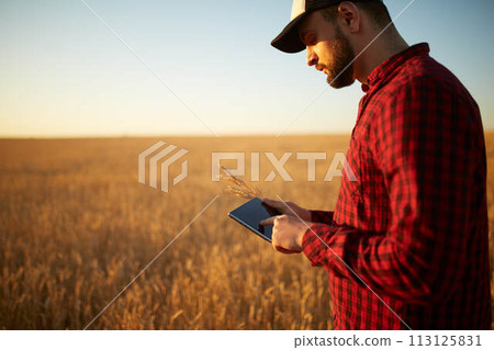 Smart farming using modern technologies in agriculture. Man agronomist farmer with digital tablet computer in wheat field using apps and internet, selective focus. Male holds ears of wheat in hand. Smart farming using modern technologies in agriculture. Man agronomist farmer with digital tablet computer in wheat field using apps and internet, selective focus. Male holds ears of wheat in hand. 113125831