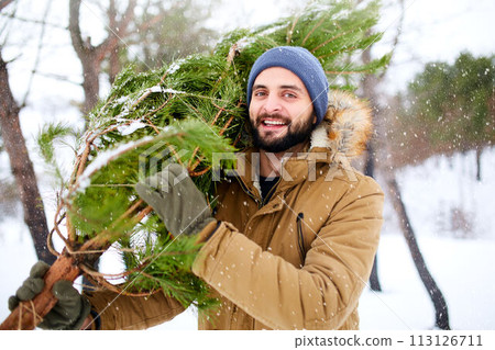 Bearded man carrying freshly cut down christmas tree in forest. Young lumberjack bears fir tree on his shoulder in the woods. Irresponsible behavior towards nature, save forest, keep green concept. Bearded man carrying freshly cut down christmas tree in forest. Young lumberjack bears fir tree on his shoulder in the woods. Irresponsible behavior towards nature, save forest, keep green concept. 113126711