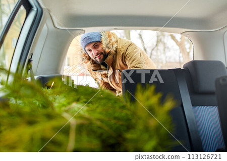 Bearded man unloading christmas tree out of trunk of his car, inside view. Hipster gets fir tree from the back of his hatchback. Convertible auto interior with practical folding seats for boot space. Bearded man unloading christmas tree out of trunk of his car, inside view. Hipster gets fir tree from the back of his hatchback. Convertible auto interior with practical folding seats for boot space. 113126721