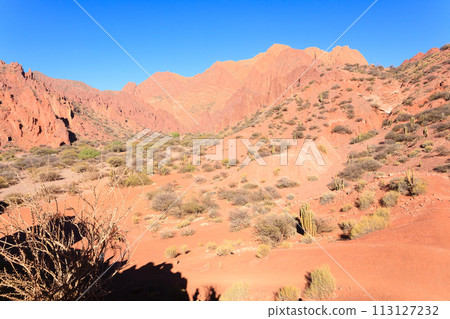 Bolivian canyon near Tupiza,Bolivia 113127232