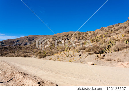 Bolivian dirt road view,Bolivia 113127237
