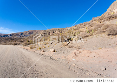 Bolivian dirt road view,Bolivia Bolivian dirt road view,Bolivia 113127238