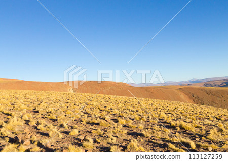 Morejon lagoon view, Bolivia 113127259