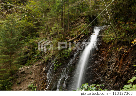The beautiful waterfall in forest, long exposure in Carpathian mountains 113127363