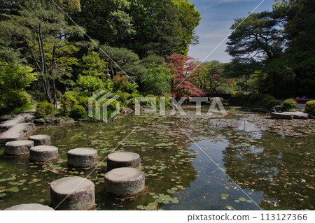 Stepping stone bridge over a pond, Kyoto, Japan 113127366