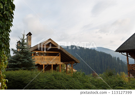 Vintage wooden houses in tourist centre resort with birch trees, autumn grasses and plants around. Alpain scenic of country log house in fir tree forest 113127399