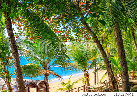 View of the coastline of the South China Sea through palm trees. Sanya China, Park Heavenly Grottoes 113127441