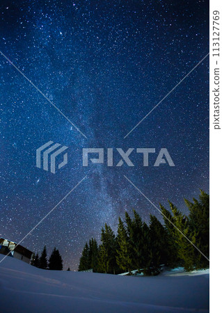 Beautifull scenery of a night winter starry sky above pine forest, long exposure photo of midnight stars and snowy woods landscape Beautifull scenery of a night winter starry sky above pine forest, long exposure photo of midnight stars and snowy woods landscape 113127769