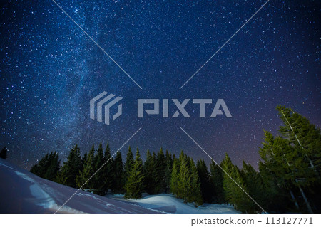 Beautifull scenery of a night winter starry sky above pine forest, long exposure photo of midnight stars and snowy woods landscape 113127771