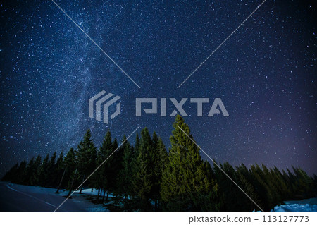 Beautifull scenery of a night winter starry sky above pine forest, long exposure photo of midnight stars and snowy woods landscape 113127773