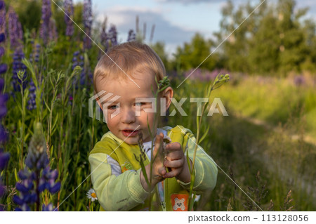 mother and child son are walking in a field of flowers mother and child son are walking in a field of flowers 113128056