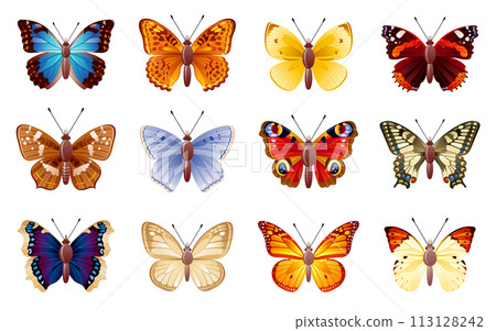 Butterfly vector set. Insect illustration. Isolated butterfly animal. Yellow monarch, blue morpho, peacock eye, swallowtail. Art design. Realistic spring collection, white background. Tropical summer 113128242