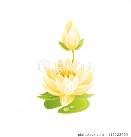 Water lily flower, floral icon. Realistic cartoon cute plant blossom, spring, summer garden symbol. Vector y illustration for greeting card, t shirt print, decoration design. Isolated white background Water lily flower, floral icon. Realistic cartoon cute plant blossom, spring, summer garden symbol. Vector y illustration for greeting card, t shirt print, decoration design. Isolated white background 113128463