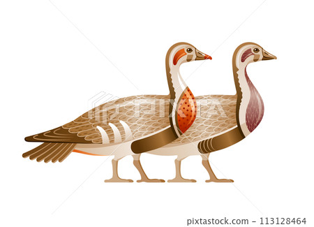 Egyptian bird vector. Geese from Egypt. Pharaoh goose art. Wild duck illustration. Cartoon god Geb mythology symbol. Ancient vintage animal. Old symbol icon. Mallard wildfowl vector art. Meidum geese 113128464