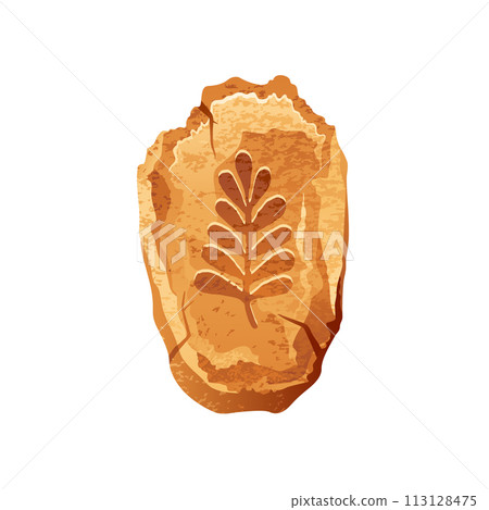 Fossil vector. Leaf of ancient plant. Archeologic icon. Prehistoric cartoon fossil. Evolution vector. Stone with fern. Jurassic icon. Historic museum isolated art. Vintage archaeologic ancient plant Fossil vector. Leaf of ancient plant. Archeologic icon. Prehistoric cartoon fossil. Evolution vector. Stone with fern. Jurassic icon. Historic museum isolated art. Vintage archaeologic ancient plant 113128475