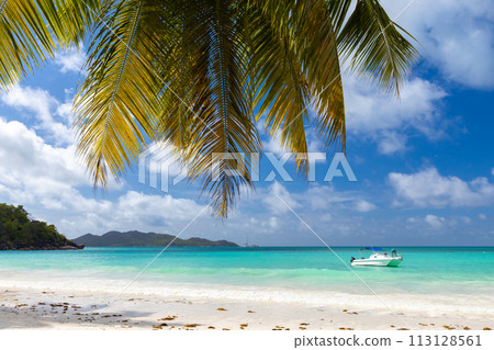 Cote D'Or Beach, Praslin island, Seychelles. Coastal view 113128561