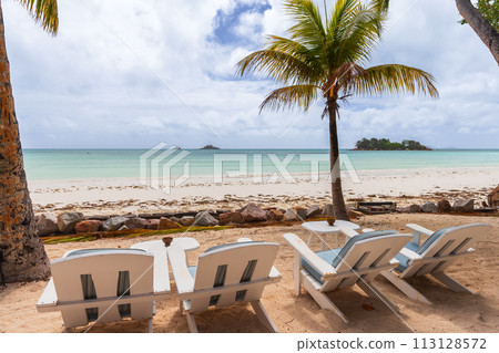 Seaside view with vacant white chaise lounges under coconut palm trees Seaside view with vacant white chaise lounges under coconut palm trees 113128572