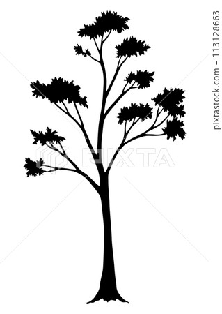 Tree silhouette. Forest and park deciduous tree. Vector nature isolated retro image Tree silhouette. Forest and park deciduous tree. Vector nature isolated retro image 113128663