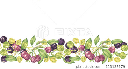 eamless border of maqui berries and leaves. Hand drawn watercolor illustration of Chilean wineberry plant isolated on white background. Aristotelia chilensis design elements for printing,packaging,  113128679