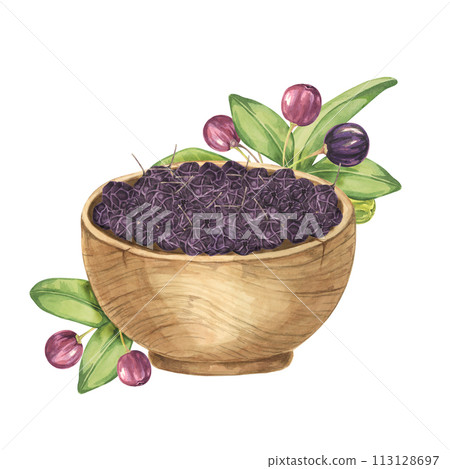 Dry maqui berries in a wooden bowl as composition with leaves, fresh berries. Hand drawn illustration of Chilean wineberry plant isolated on white background. Dry maqui berries in a wooden bowl as composition with leaves, fresh berries. Hand drawn illustration of Chilean wineberry plant isolated on white background. 113128697