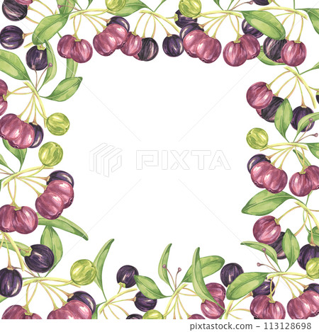 Square frame with maqui berries and leaves. Hand drawn watercolor illustration of Chilean wineberry plant isolated on white background.  113128698