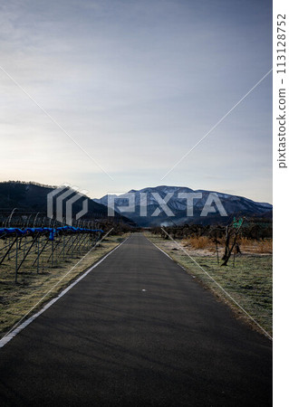 Spring dawn sky and farm road Spring dawn sky and farm road 113128752