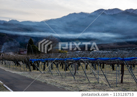 春天的黎明天空和農場道路 113128753