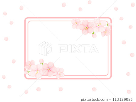 Cherry blossom background Cherry blossom background 113129085