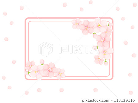 櫻花背景 113129110