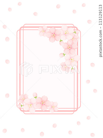 Cherry blossom background 113129113