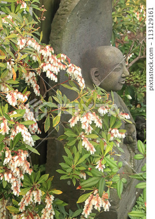 Caterpillar tree 113129161