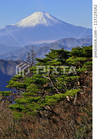 Mt. Fuji and Akamatsu seen from Mt. Sodehira in Tanzawa 113129162