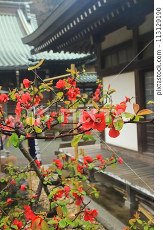 模糊 模糊 113129190