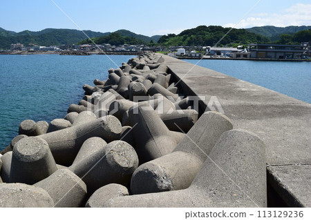 Coastal wave-dissipating block Coastal wave-dissipating block 113129236