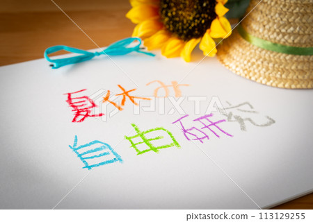 Summer vacation free research Summer vacation homework 113129255