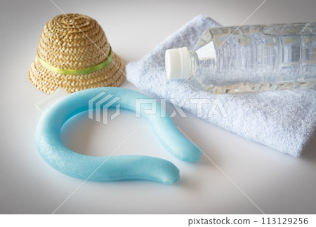 頸環、PET瓶裝水 中暑對策 降溫用品 飲水量 健康管理 中暑對策 113129256