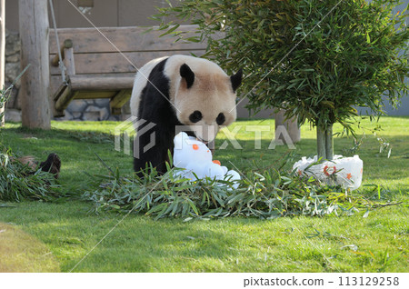 長濱玩冰 113129258