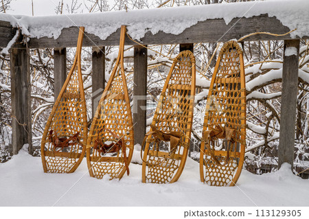 Classic wooden snowshoes (Huron and Bear Paw) in a backyard with snow falling 113129305