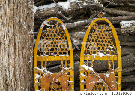 Detail of classic wooden snowshoes (Bear Paw) against pile of firewood Detail of classic wooden snowshoes (Bear Paw) against pile of firewood 113129306
