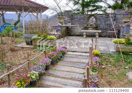 Rose Berry Tawada in Spring 2024 113129400