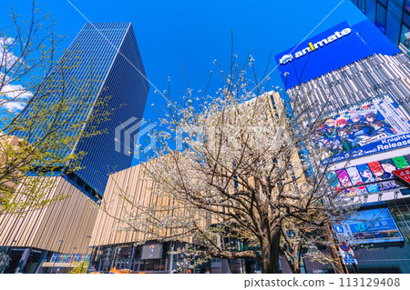 Tokyo cityscape in Japan Cherry blossom season has arrived... A view of Hareza Ikebukuro at the east exit of Ikebukuro Station, shining against the blue sky after the coronavirus pandemic 113129408